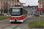 IMG_4569.JPG