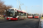 IMG_7025.JPG