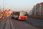 IMG_7086.JPG