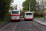 IMG_7985.JPG