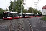 IMG_7987.JPG