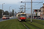 IMG_8002.JPG