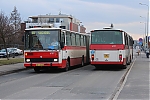IMG_8685.JPG