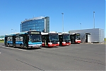 IMG_9978.JPG