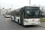 218-1.jpg