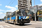 117.jpg