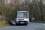 1254.jpg
