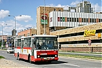 1272.jpg