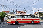 135-1.jpg