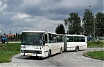 135.jpg