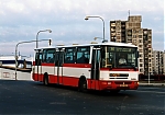 141.jpg