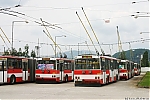 14Tr_1004.JPG