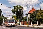 14Tr_6268.jpg