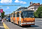 1513~0.jpg