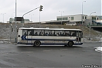 1568.jpg