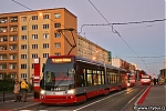 15T_9309.jpg
