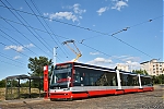 15T_9324.jpg