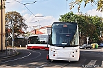 15T_9328.jpg