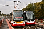 15T_9329.jpg