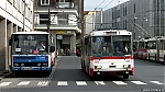 15Tr_531.jpg