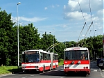 15tr.jpg