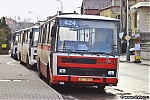 1702.jpg