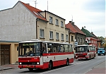185.jpg