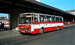 187-1.jpg