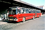 187.jpg