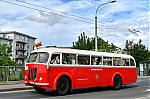 206~0.jpg