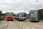 21Ab_474.JPG
