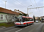 21Tr_28629.jpg
