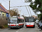 21Tr_28729.jpg