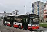 229.jpg