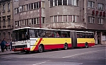 232.jpg