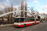2383.jpg