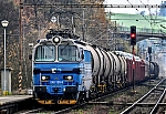 240.jpg