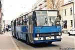 250.jpg