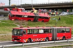 2646.jpg
