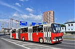 2881.jpg