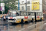 2938.jpg