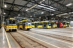 298.jpg