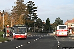 3023.jpg