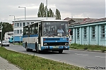 3039.jpg