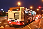 3043.jpg