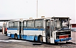 3073.jpg