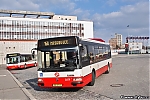 3079.jpg
