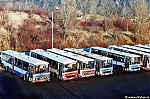 3088.jpg