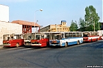 3091~0.jpg