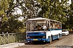 3095.jpg